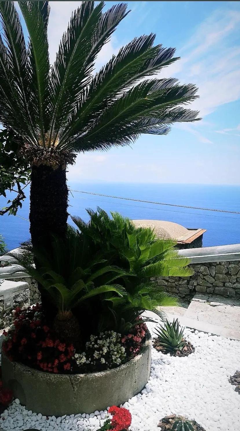 Villa Furoris Apartment Furore Exterior photo